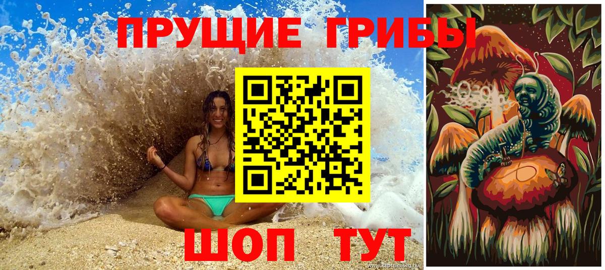 Менделеевск  Псилоцибиновые грибы мицелий  Вход с VPN 